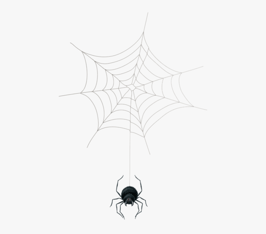 Transparent Cobweb Clipart - Spider Web, HD Png Download
