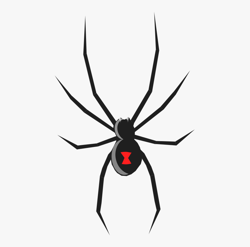Spider Free To Use Clip Art - Black Widow Tattoo Finger, HD Png Download
