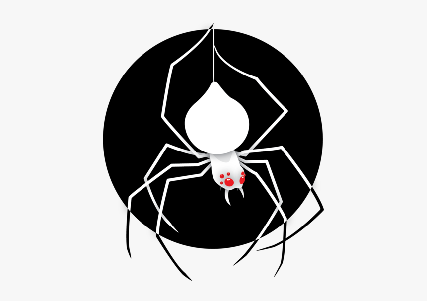 Spider Illustration Scary Spooky Halloween Vector Arachnid - Spider Illustrator, HD Png Download