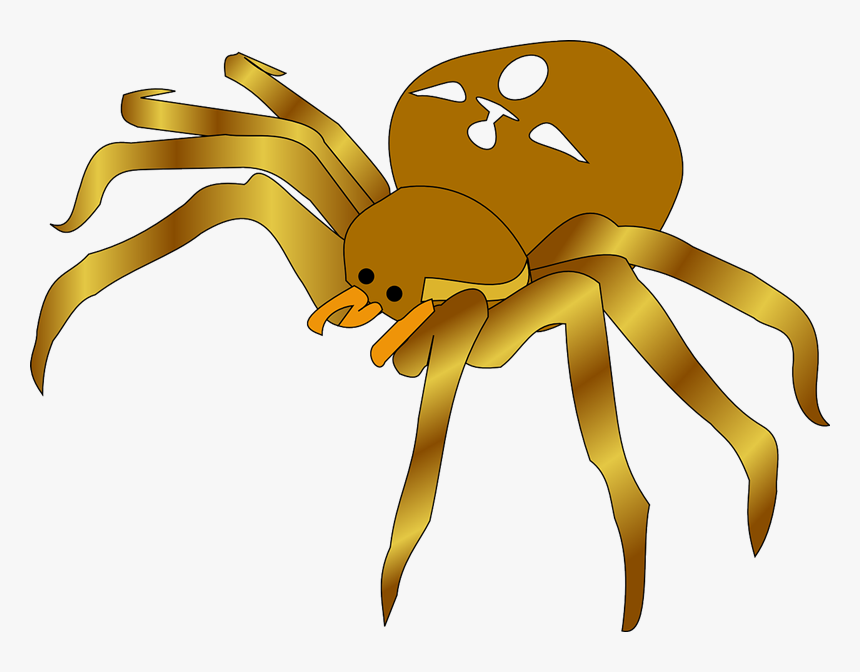 Spider Free To Use Clip Art - Clip Art Of Spider, HD Png Download