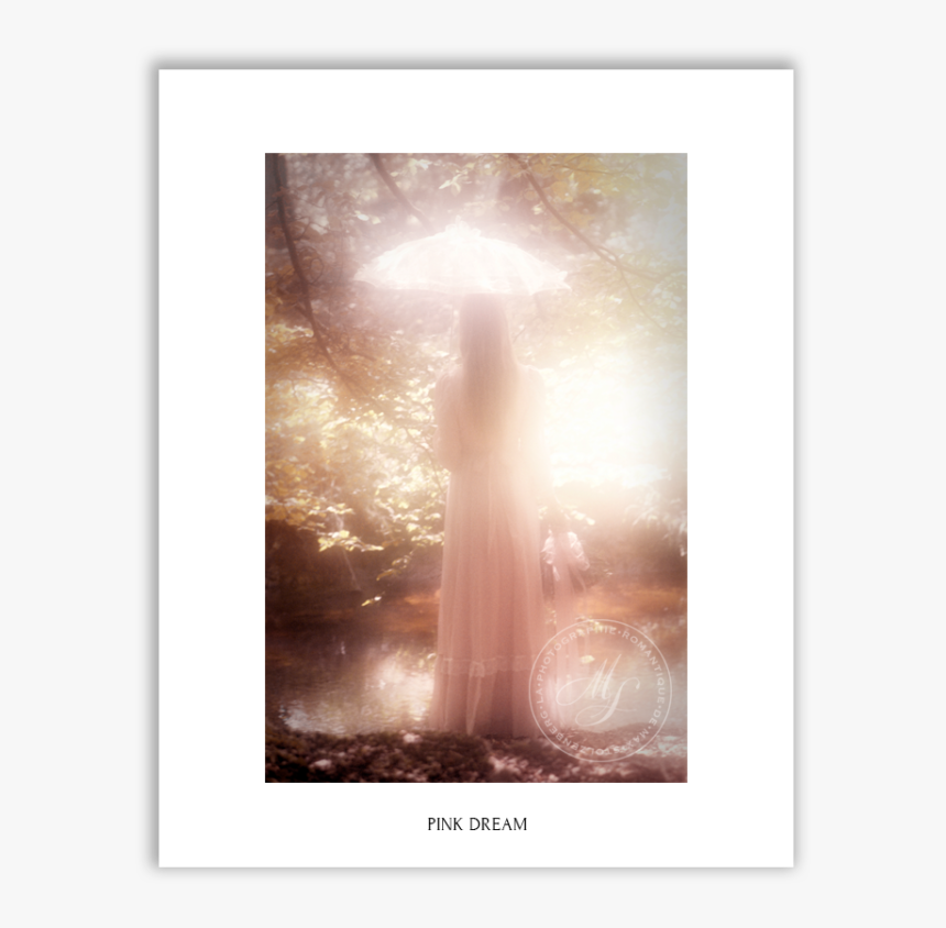 Picture Frame, HD Png Download