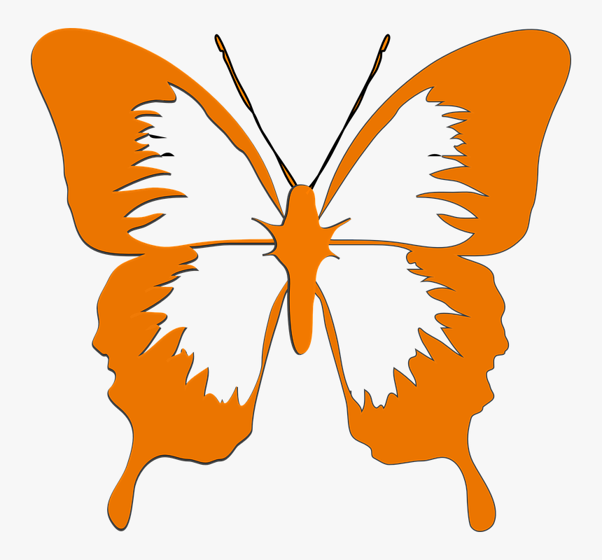 Butterfly, Insect, Animal, Orange, Blue, HD Png Download