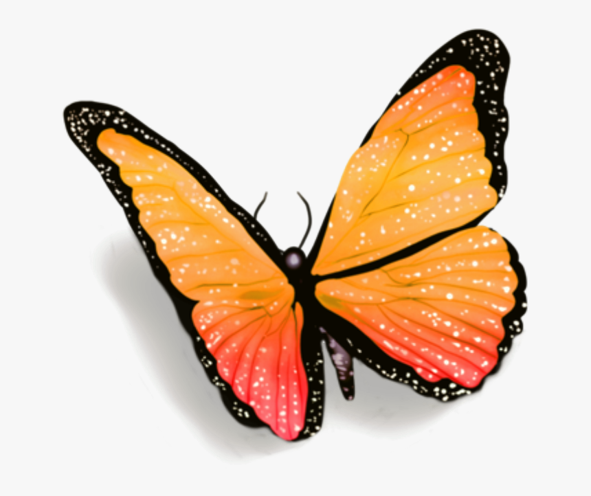 #butterfly #butterflies #petsandanimals #fly #overlay - Blue Butterfly With Shadow, HD Png Download