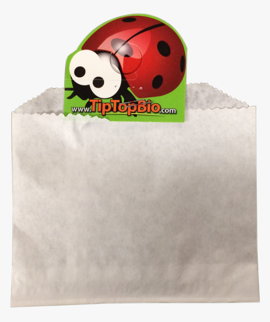 Ladybug, HD Png Download