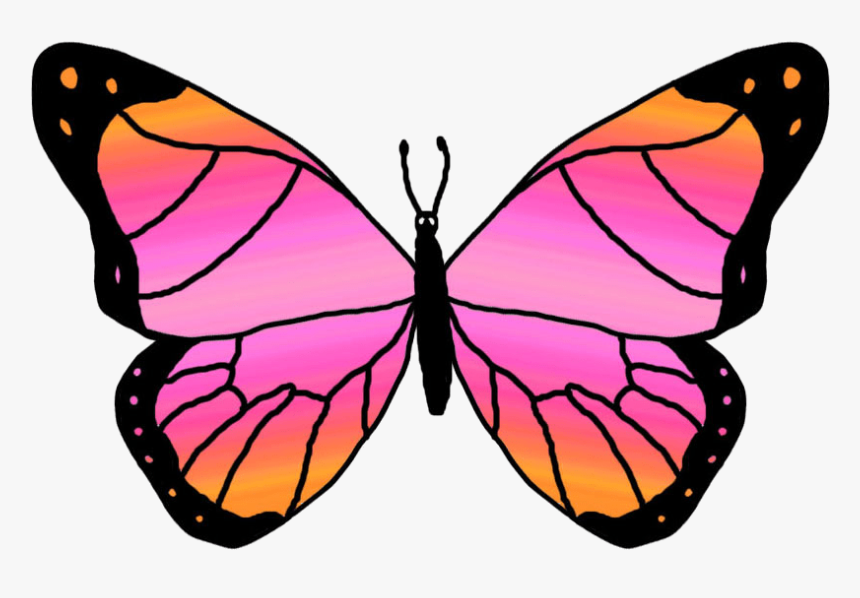 Pink And Orange Butterfly Clipart , Png Download - Orange And Pink Butterfly, Transparent Png