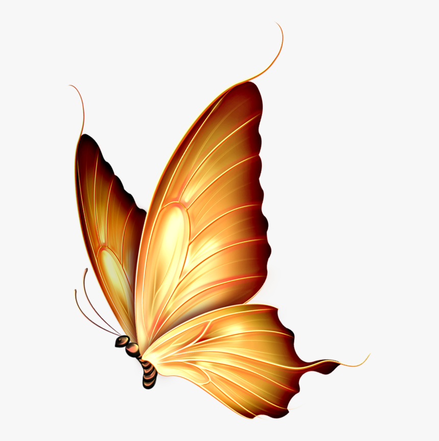 Stroke Drawing Butterfly - Pink Butterfly Png Transparent, Png Download