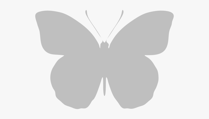 Typical Recto Orange-tip - Transparent White Butterfly Png, Png Download