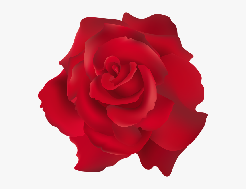 Transparent Pink Rose Clip Art, HD Png Download