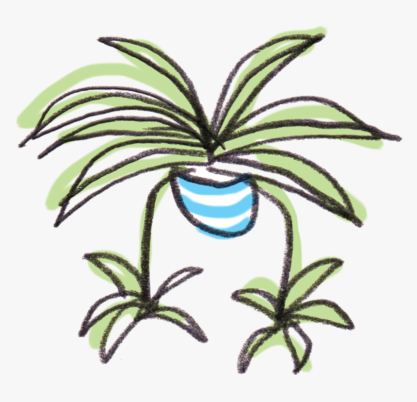 Spider Plant Clipart, HD Png Download