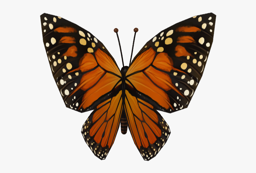 Monarch Butterfly, HD Png Download