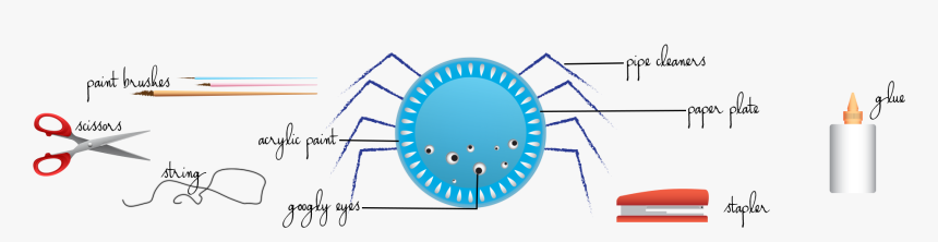 Circle, HD Png Download