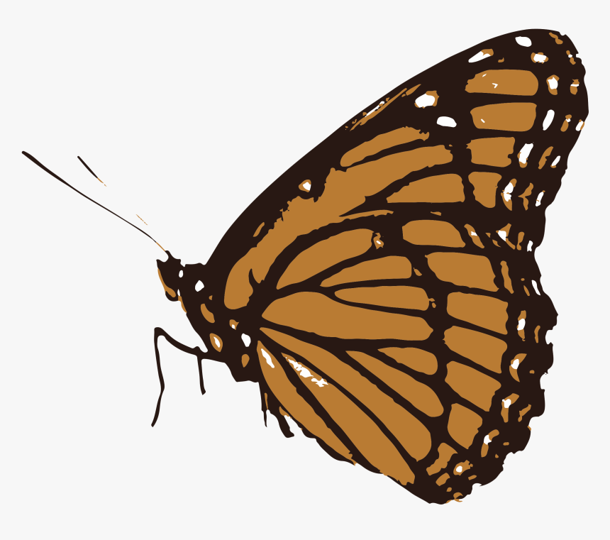 Butterfly Png Black And White Smile - Butterfly Clipart Black And White Transparent, Png Download