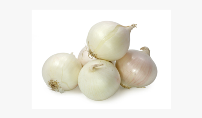 Onion White, HD Png Download