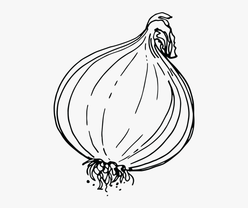Shallot, HD Png Download
