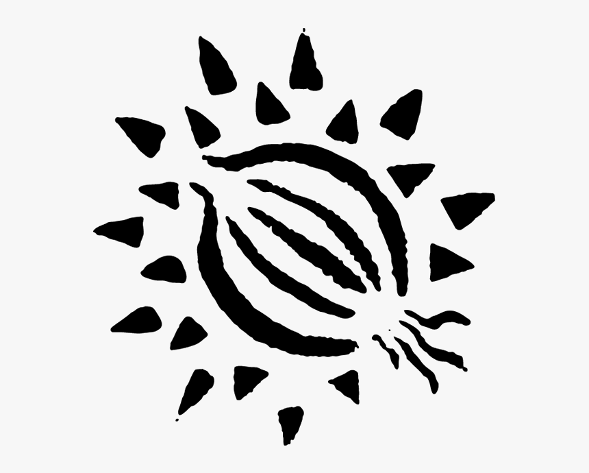 Transparent White Onion Png - Illustration, Png Download