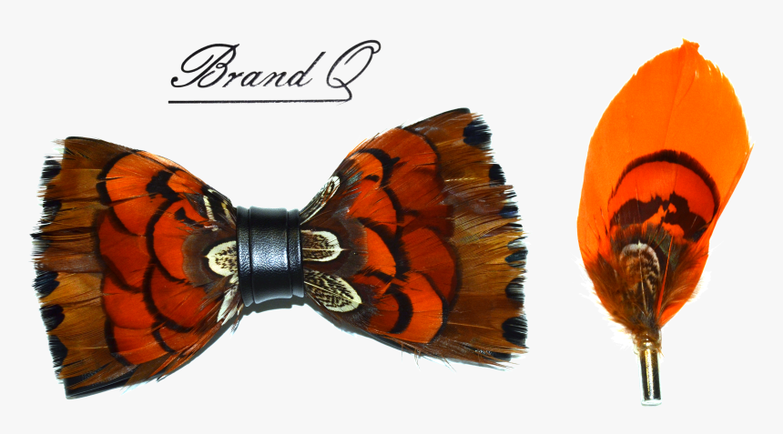 Feather Bow Ties - Vanessa (butterfly), HD Png Download