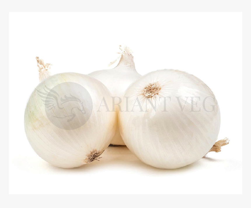 Cebolla Blanca Y Roja, HD Png Download