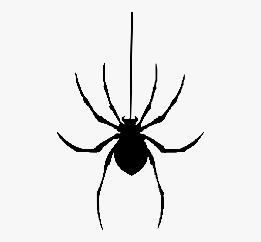 Spider, Silhouette, Halloween, Insect, HD Png Download