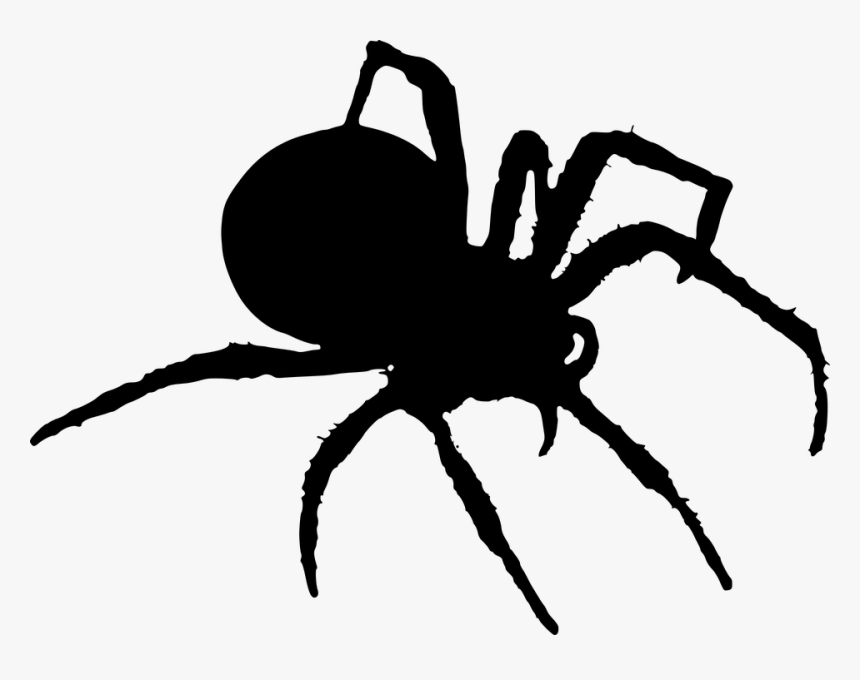 Spider, Silhouette, Halloween, Insects, HD Png Download