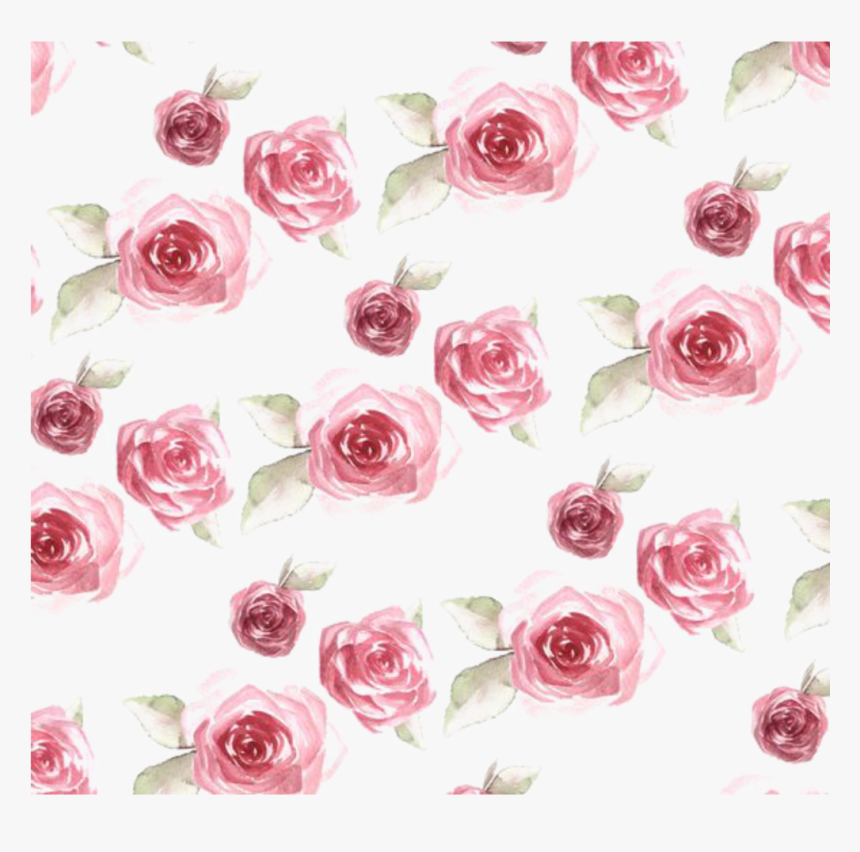 Ftestickers Watercolor Roses Background Overlay - Rose Pattern, HD Png Download