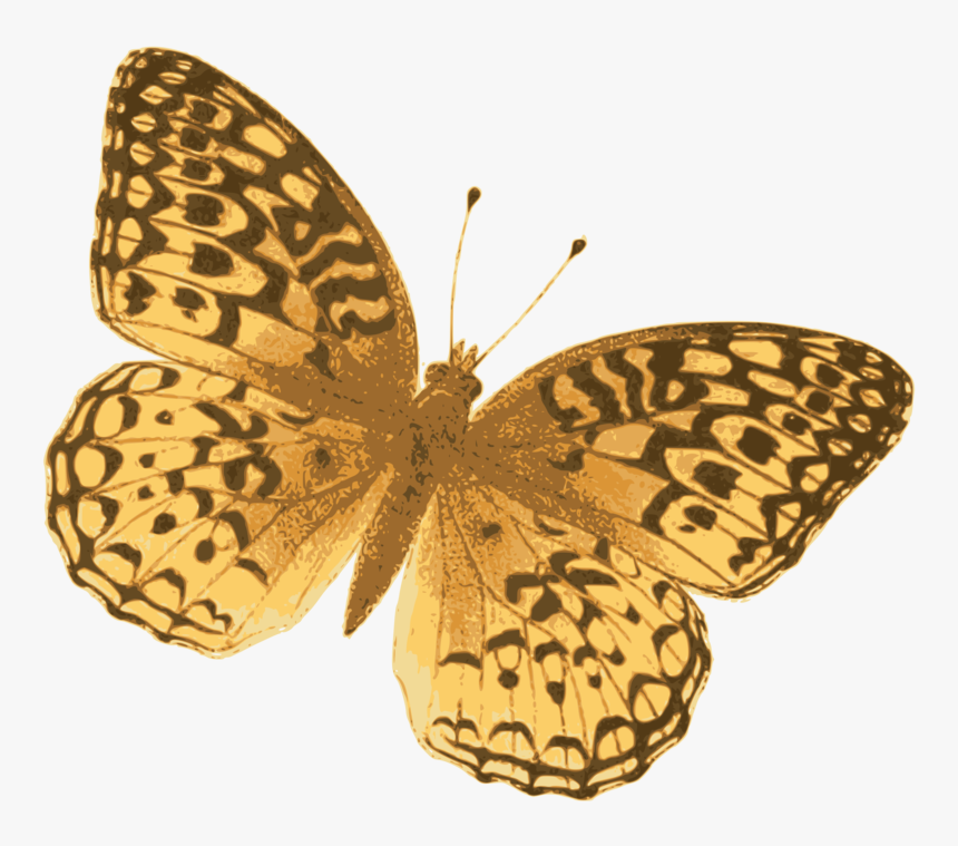 Fritillar - Silver-washed Fritillary, HD Png Download