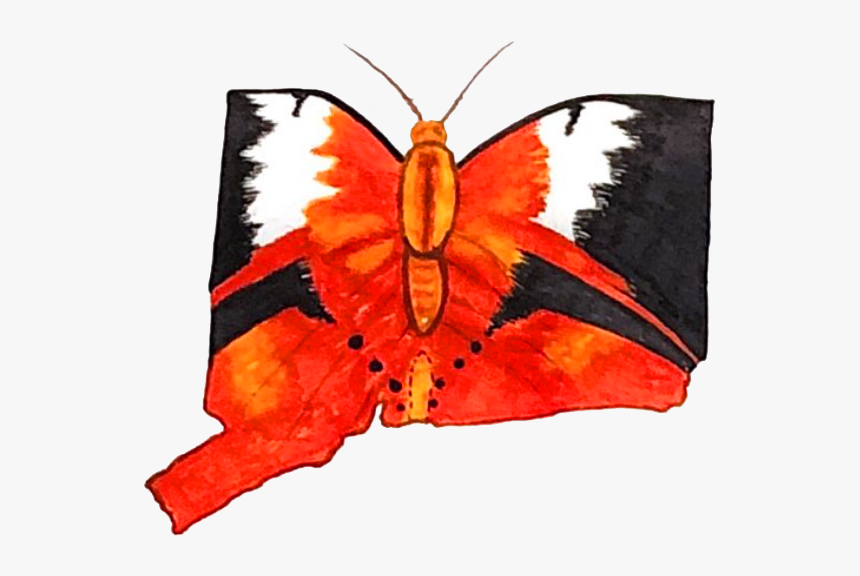 Butterfly - Brush-footed Butterfly, HD Png Download