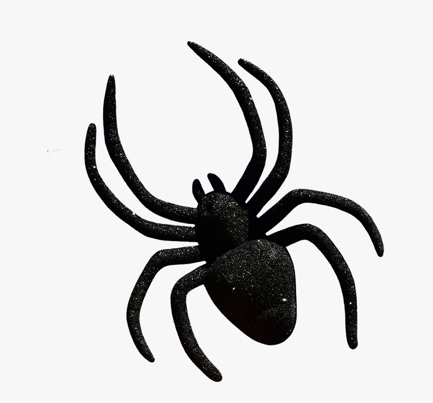 Spider, Halloween, Accessories, Cropping, Exemption - Halloween Spider, HD Png Download