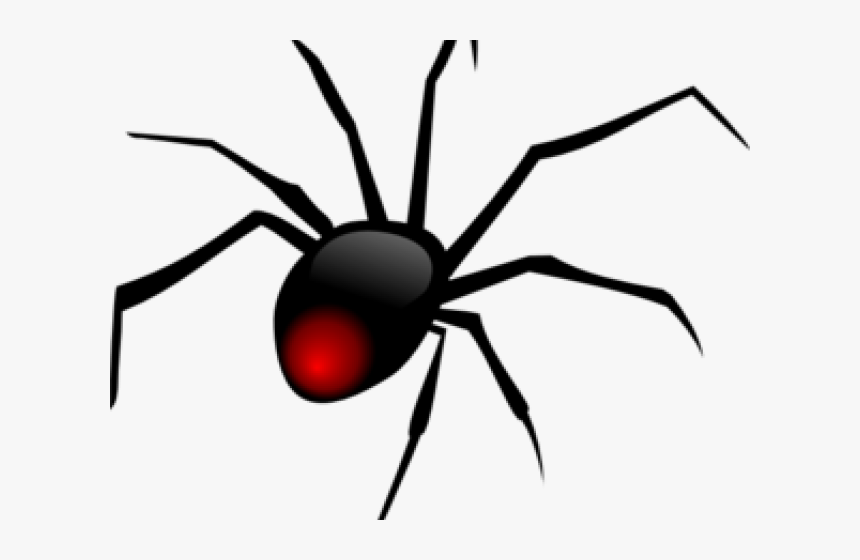 Transparent Backyard Clipart - Black Widow Spider, HD Png Download