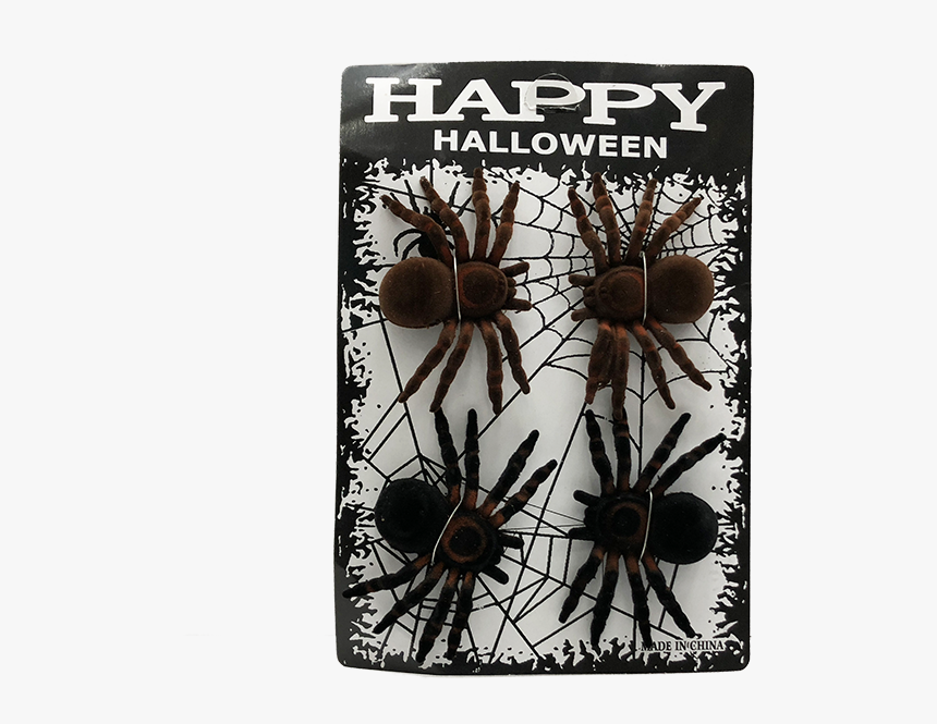 Spider, HD Png Download