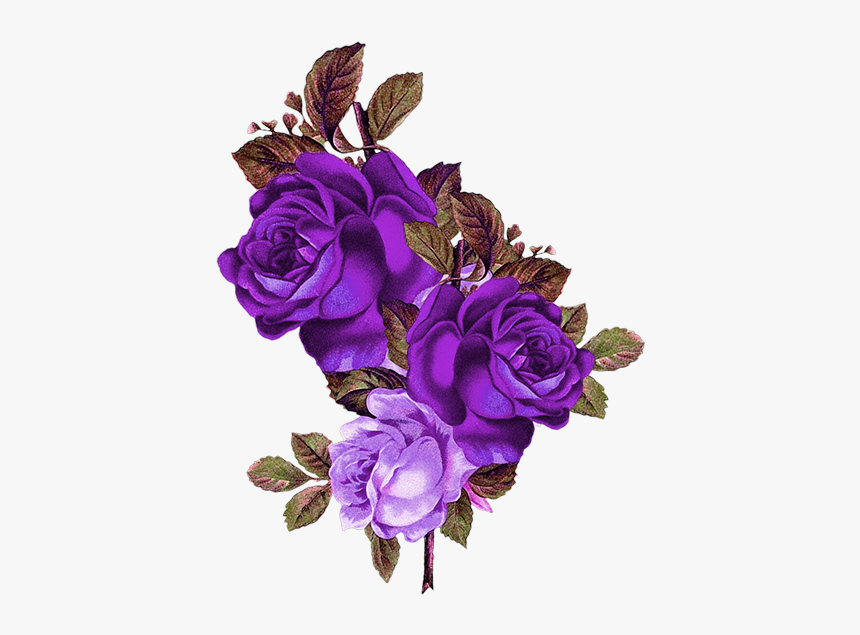 Transparent Transparent Background Flower Png, Png Download