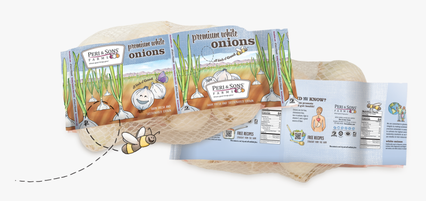 Welsh Onion, HD Png Download