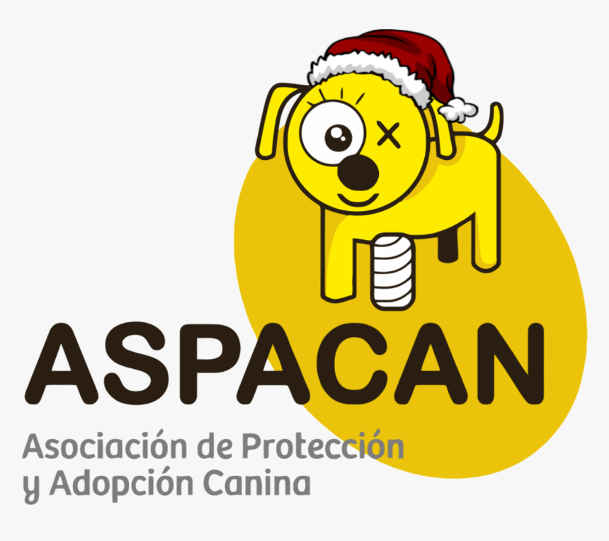 Hacer Antes Durante Y Despues, HD Png Download