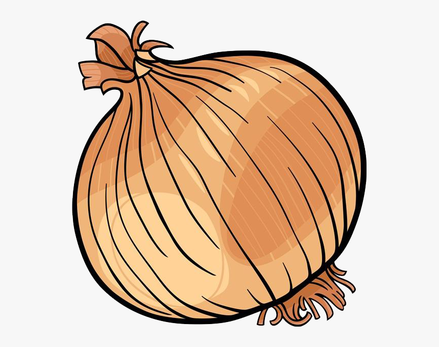 Onion Clipart Fruit Vegetable - Onion Black And White, HD Png Download