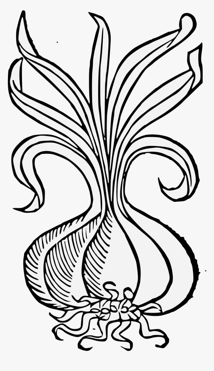 Illustration, HD Png Download