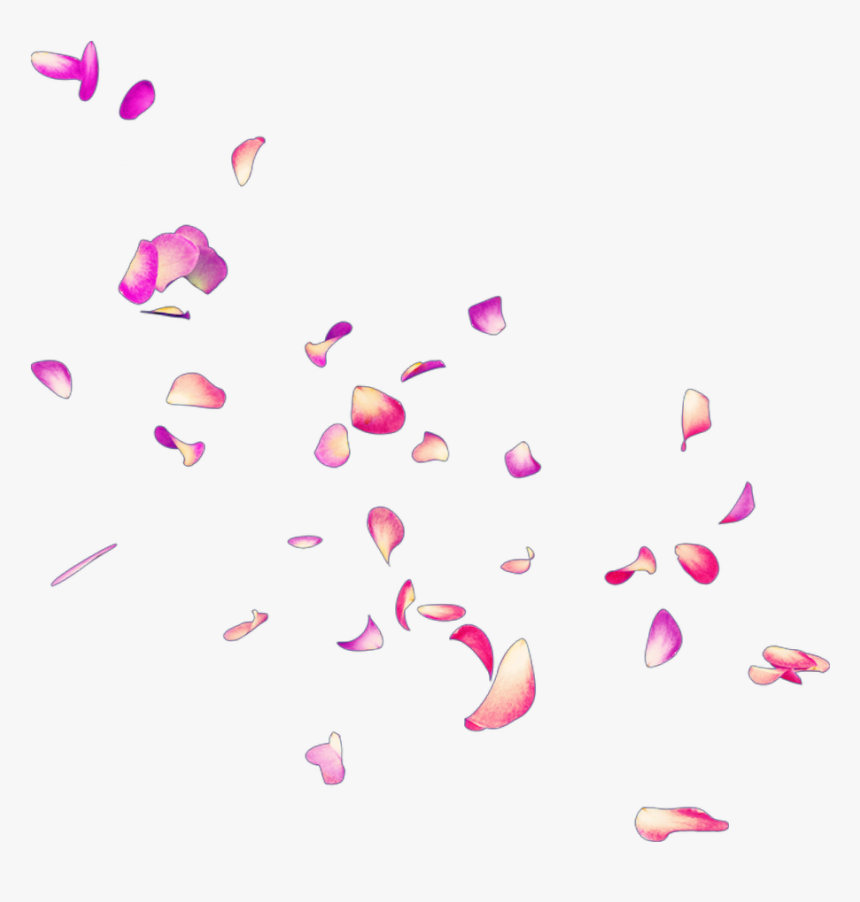 #petals #petalos #pétalos #pétalo #petalo #petal #rose - Petalos De Rosas Rosas Png, Transparent Png