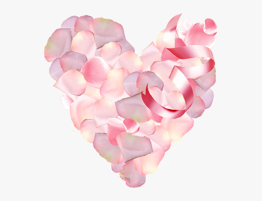 St Valentin, Pétalos, Color De Rosa, Pétalos De Rosa, HD Png Download