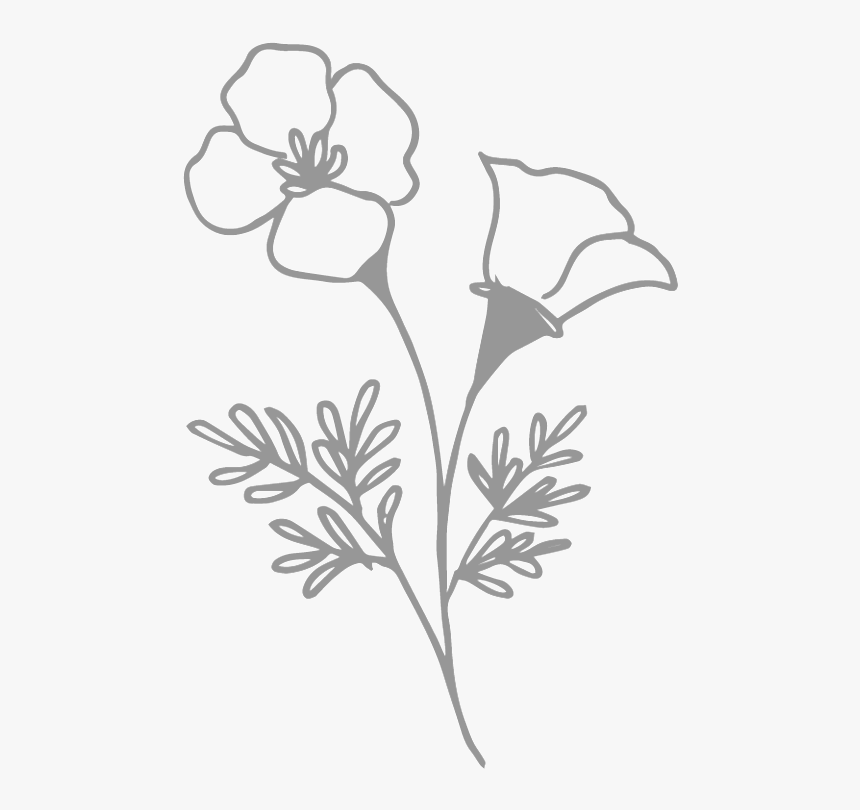 Transparent Wild Flowers Png - Rosa Glauca, Png Download