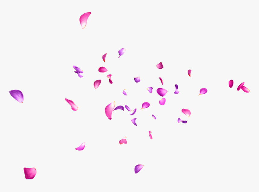 #petalos #rosa - Petalos De Rosa Png, Transparent Png