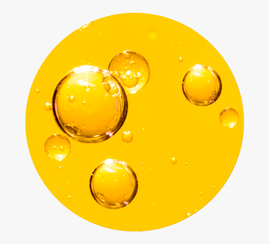 Circle, HD Png Download