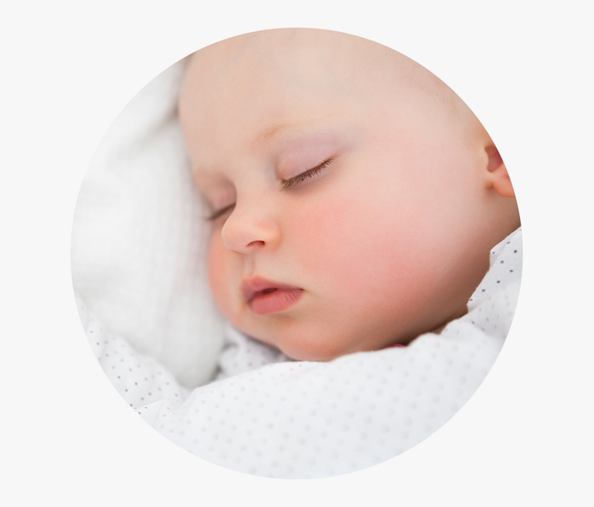 Baby Napping, HD Png Download
