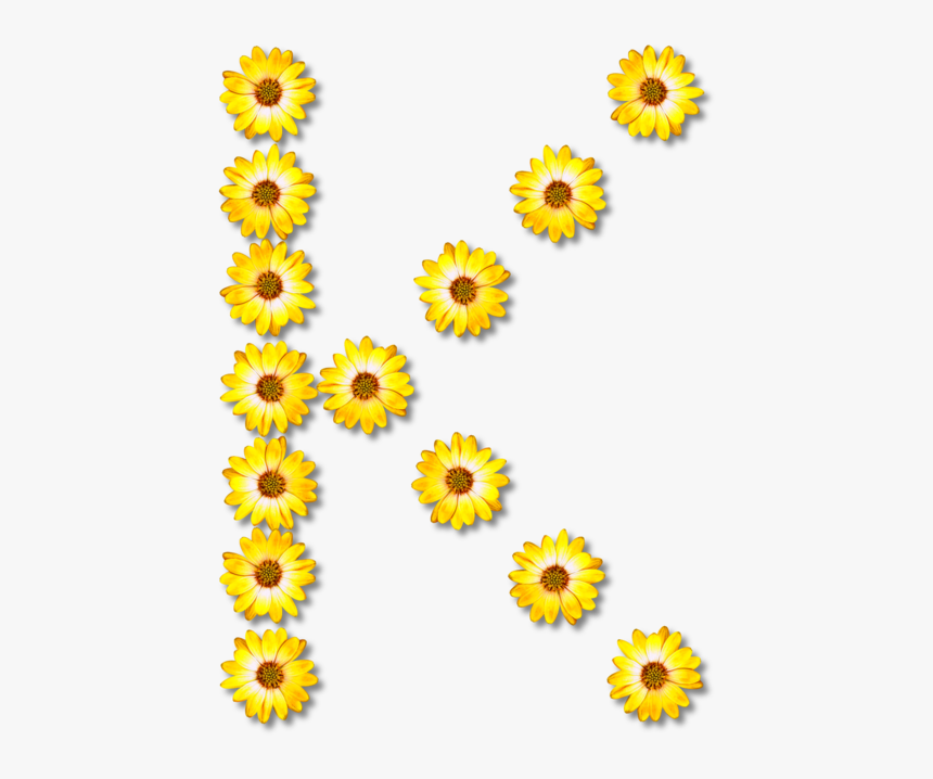 Sunflower Seed,chrysanths,plant - Common Daisy Flower, HD Png Download