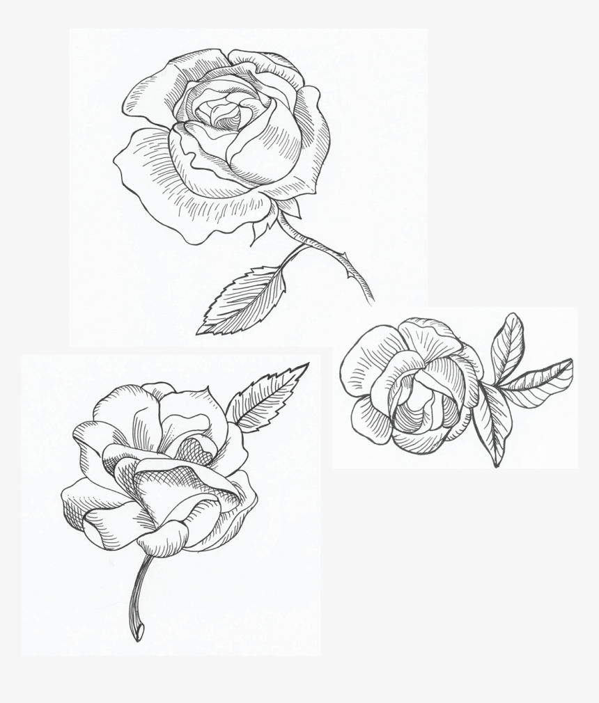 Illustration, HD Png Download