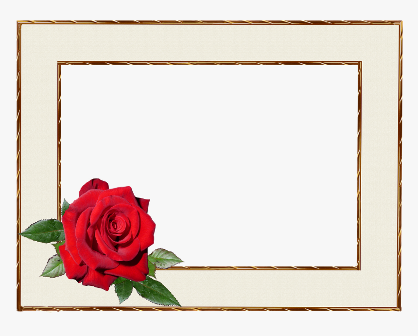 Picture Frame Empty Margin Free Picture - ברכות ליום הולדת לסבתא, HD Png Download