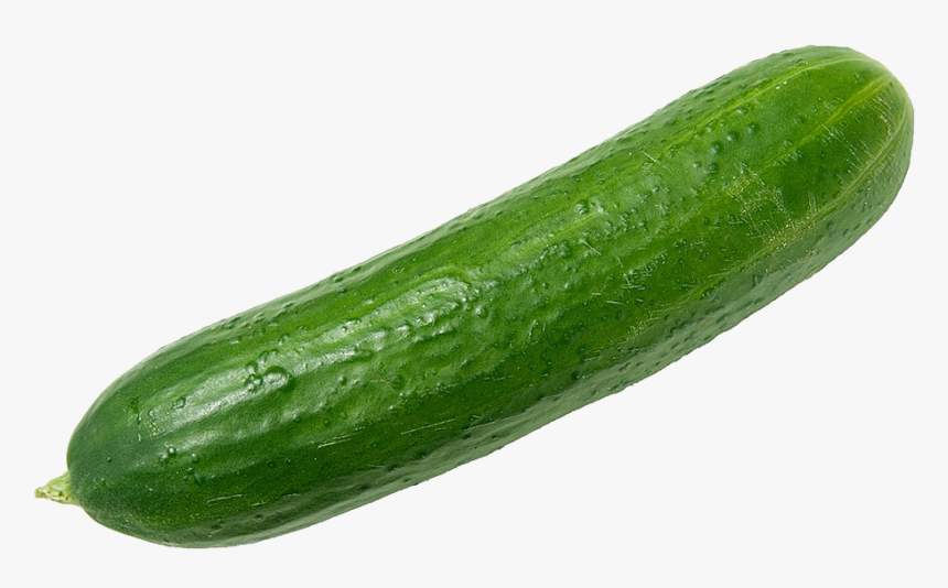 Cucumber Png Images Free Download - Cucumber Png, Transparent Png