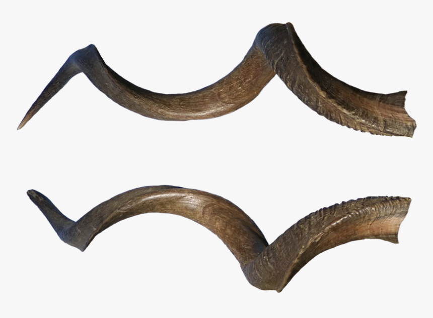 Horns, Demon, Halloween, Death, Ornamental, Bones - Devil Horns Png, Transparent Png