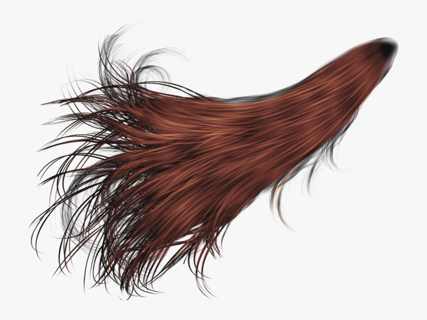 Ponytail Png, Transparent Png