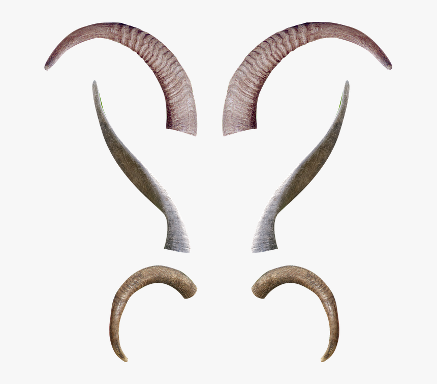 Animal, Horns, Antlers, Fantasy, Creature, Demon, Devil - Devil Goat Horns Png, Transparent Png