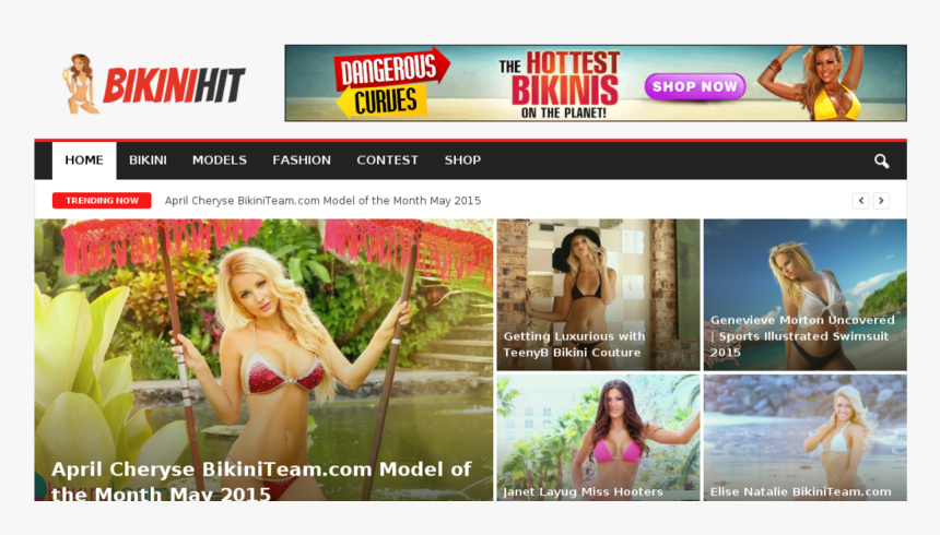 Website, HD Png Download