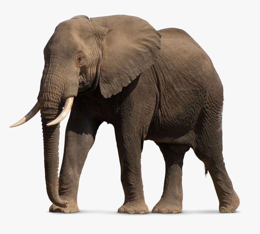 Game Of Thrones Without Context, HD Png Download