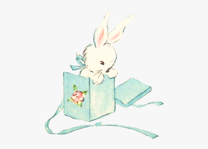 Domestic Rabbit, HD Png Download